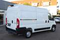 Citroen Jumper 33 L2H2 Club 140 l NAVI l KAMERA l KLIMA Weiß - thumbnail 8
