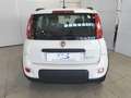 Fiat Panda 1.0 FireFly S&S Hybrid Blanco - thumbnail 6