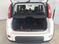 Fiat Panda 1.0 FireFly S&S Hybrid Blanco - thumbnail 10