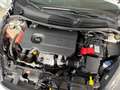 Ford Fiesta 1.5 TDCI 85 cv 5 porte PLUS (Autocarro 4 posti N1) Bianco - thumbnail 6