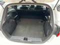 Ford Fiesta 1.5 TDCI 85 cv. 3 porte VAN 2 posti TREND Bianco - thumbnail 13