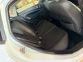 Ford Fiesta 1.5 TDCI 85 cv 5 porte PLUS (Autocarro 4 posti N1) Bianco - thumbnail 12
