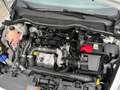 Ford Fiesta 1.5 TDCI 85 cv. 3 porte VAN 2 posti TREND Bianco - thumbnail 7