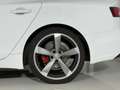 Audi A5 2.0 TDI SB 40 TDI sport Weiß - thumbnail 13