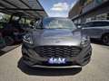 Ford Kuga 2.0 EcoBlue 120 CV aut. 2WD ST-Line PRONTA Grigio - thumbnail 2