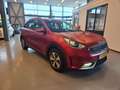 Kia Niro 1.6 GDi Hybrid DynamicLine Rojo - thumbnail 3