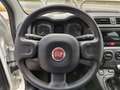Fiat Panda Panda 1.0 firefly hybrid Bianco - thumbnail 5