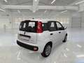 Fiat Panda Panda 1.0 firefly hybrid Bianco - thumbnail 2