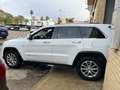 Jeep Grand Cherokee 3.0 V6 Diesel Limited 250 CV Blanco - thumbnail 24