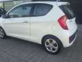 Kia Picanto 1.0 Concept Blanco - thumbnail 8
