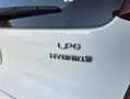 Kia Picanto 1.0 Concept Blanco - thumbnail 3