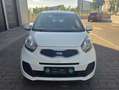 Kia Picanto 1.0 Concept Blanco - thumbnail 20