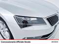 Skoda Superb wagon 1.6 tdi executive dsg my17 Grau - thumbnail 17