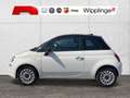 Fiat 500 FireFly Hybrid 70 Cult Blanco - thumbnail 4