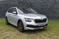 Skoda Kamiq 1.5 TSI ACT Business Edition Pano Navi Led el-acht Plateado - thumbnail 25