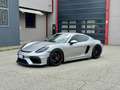 Porsche 718 GTS 4.0 Targa 718 / PPF / Italiana Plateado - thumbnail 1