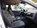 Nissan Qashqai 1.3 MHEV N-Connecta | Navigatie | Camera | Panoram Blanc - thumbnail 6