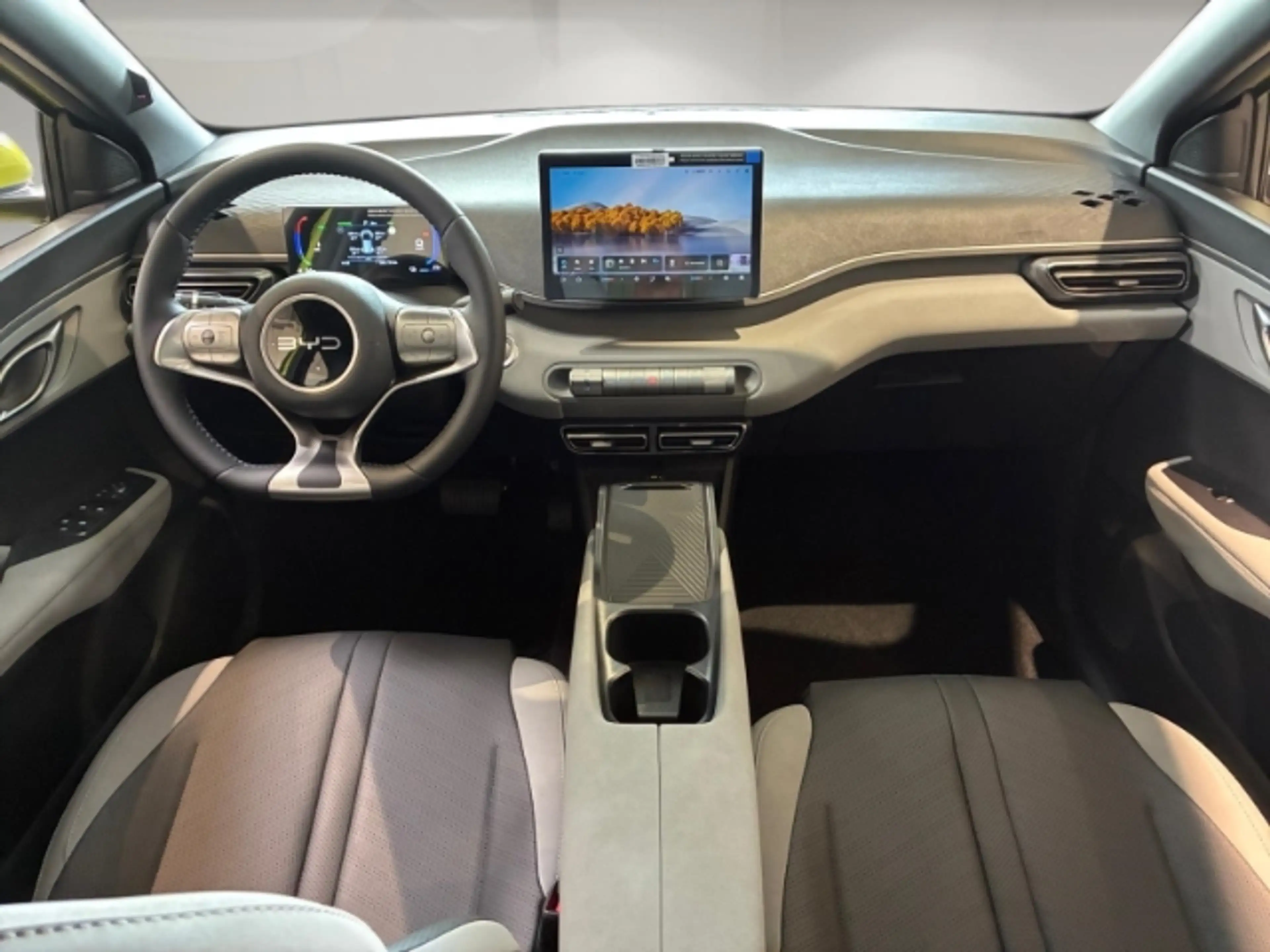 BYD Dolphin Active Klima/PDC Hinten/Rückfahrkamera — photo 13