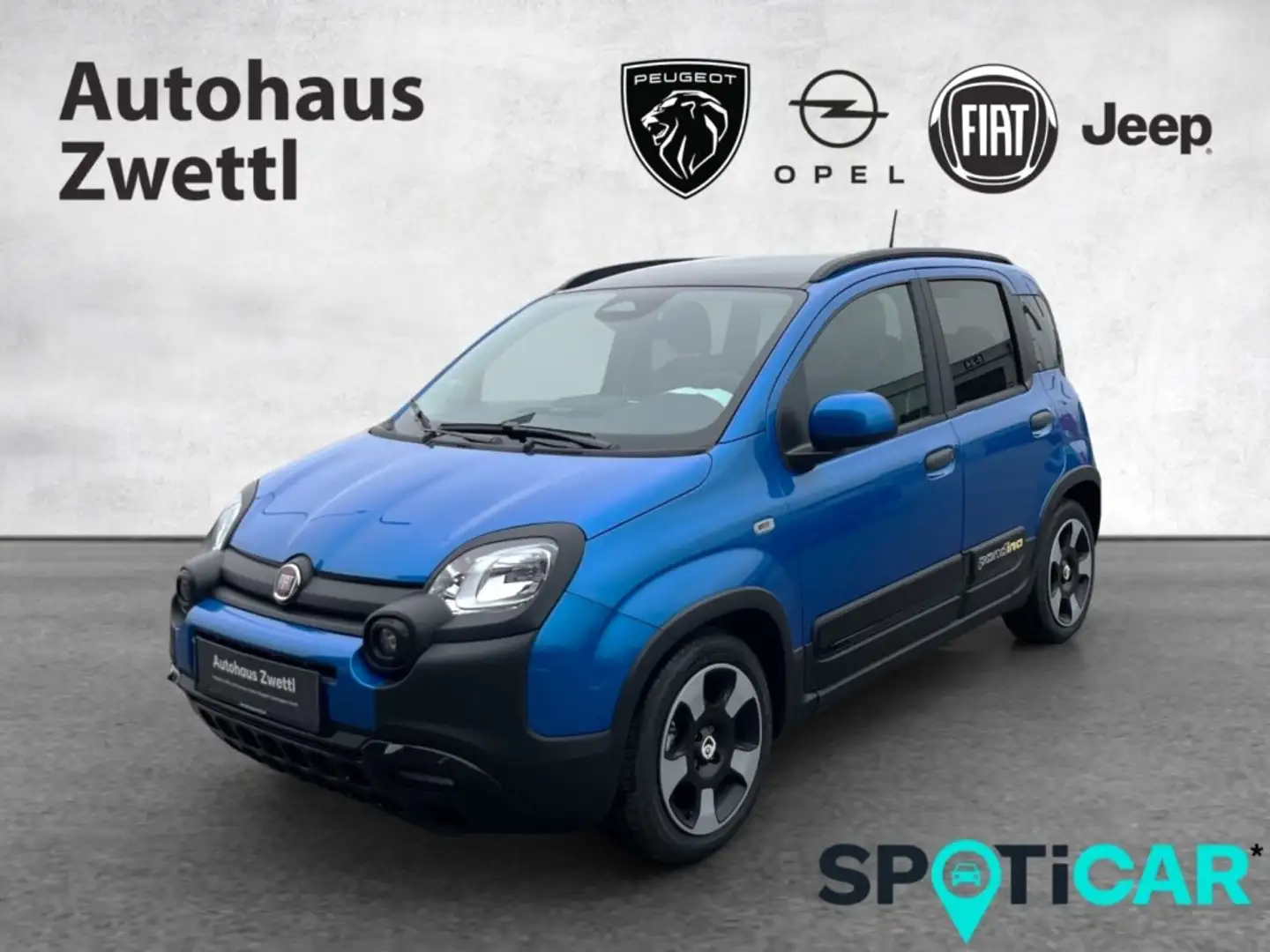 Fiat Panda /Pandina Cross Hybrid 70 Schwarz - 1