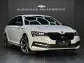 Skoda Superb SUPERB*COMBI*SPORTLINE*360*AHK*MEMORY*VIRTUAL*19 Weiß - thumbnail 1