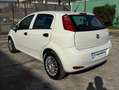 Fiat Punto VAN 1.3 M-JET 5 PORTE 4 POSTI - 2018 Bianco - thumbnail 5