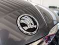 Skoda Octavia Octavia 2.0 TDI EVO SCR DSG Executive*VIRTUAL COC - thumbnail 38