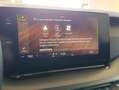 Skoda Octavia Octavia 2.0 TDI EVO SCR DSG Executive*VIRTUAL COC - thumbnail 34