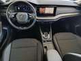 Skoda Octavia Octavia 2.0 TDI EVO SCR DSG Executive*VIRTUAL COC - thumbnail 17