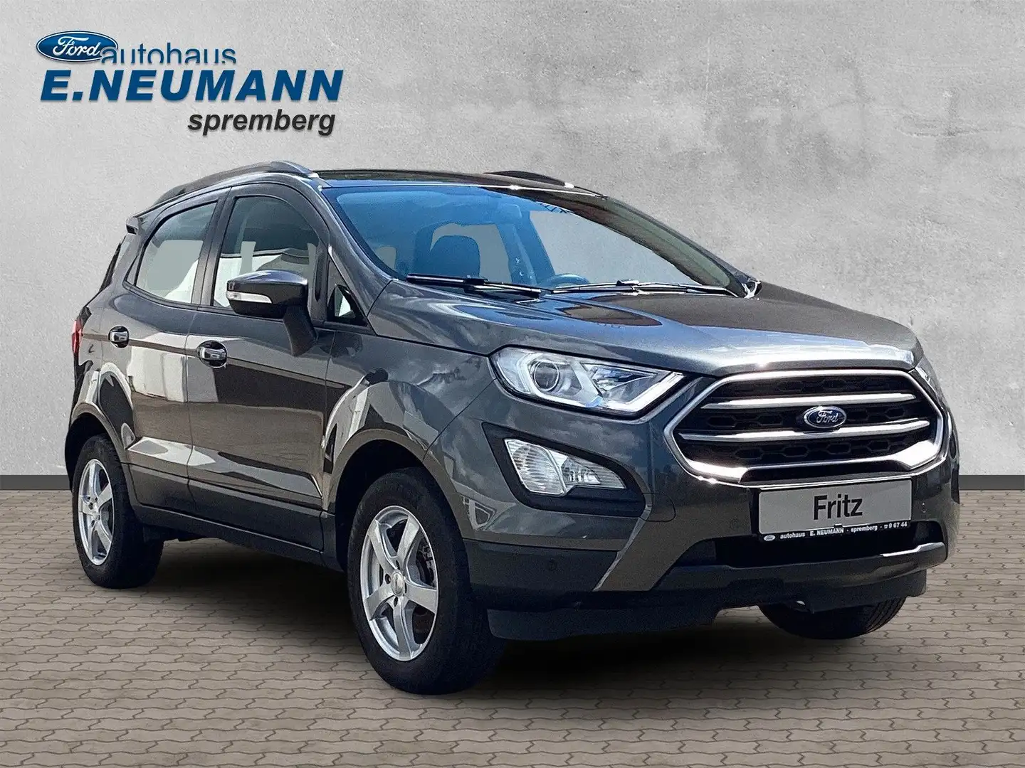 Ford EcoSport Cool & Connect Grijs - 2