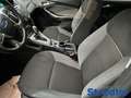 Ford Focus Trend 1.6 Ti-VCT Klima, Automatik, Regense Black - thumbnail 6