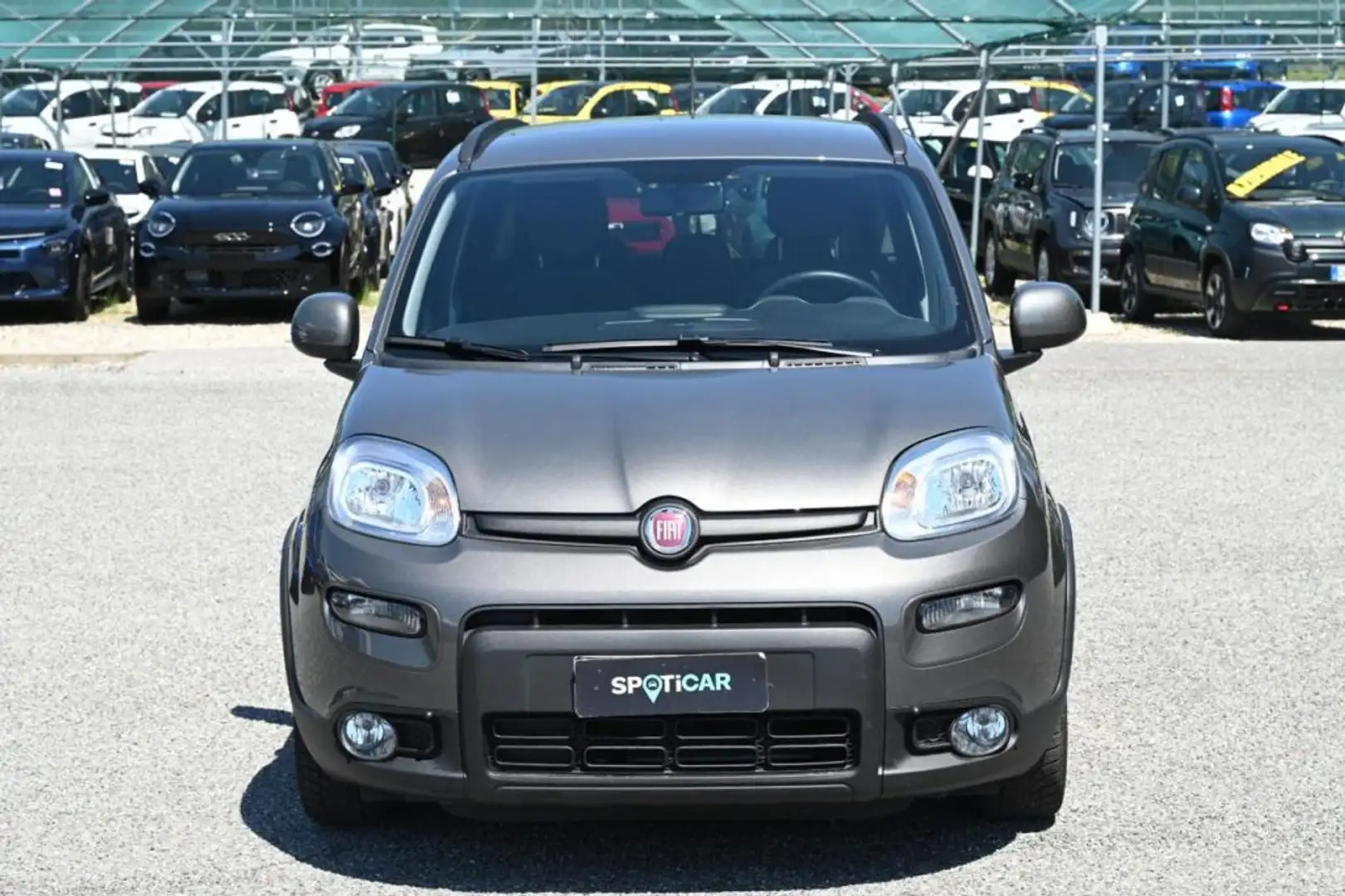Fiat Panda 1.0 FireFly S&S Hybrid City Life Gris - 2