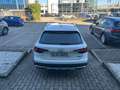 Audi A4 allroad Quattro 40 2.0 tdi Business 190cv s tronic Weiß - thumbnail 5