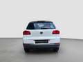 Volkswagen Tiguan VW Tiguan Allrad Connect Automatik 2,0 TDI Weiß - thumbnail 4