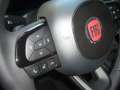 Fiat Panda Cross Pandina 1.0 FireFly Hybrid 5P Nuovo Modell Jaune - thumbnail 17