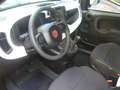 Fiat Panda Cross Pandina 1.0 FireFly Hybrid 5P Nuovo Modell Jaune - thumbnail 13