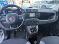 Fiat Panda Panda III 2012 1.3 mjt 16v Lounge s Argento - thumbnail 8