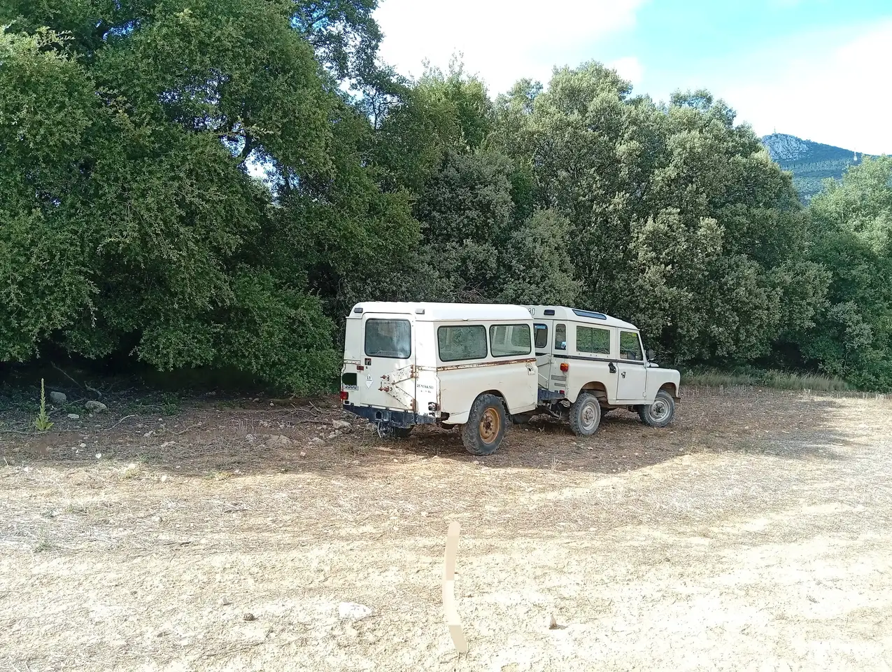 Land Rover Series 88 especial, foto 5