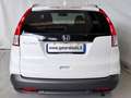 Honda CR-V CR-V 2.2 Executive 4wd auto Bianco - thumbnail 6