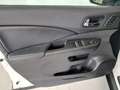Honda CR-V CR-V 2.2 Executive 4wd auto Bianco - thumbnail 12