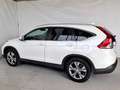 Honda CR-V CR-V 2.2 Executive 4wd auto Bianco - thumbnail 4
