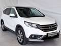 Honda CR-V CR-V 2.2 Executive 4wd auto Bianco - thumbnail 1