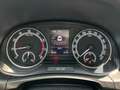 Skoda Fabia DRIVE 125 Best of 1.0TSI 110PS PANO.NAVI.SHZG.ACC. Grau - thumbnail 13