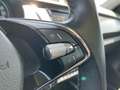 Skoda Fabia DRIVE 125 Best of 1.0TSI 110PS PANO.NAVI.SHZG.ACC. Gri - thumbnail 27