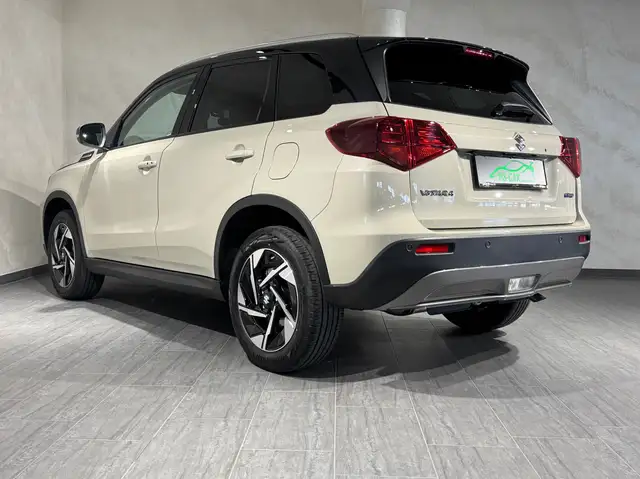Suzuki Vitara view 11