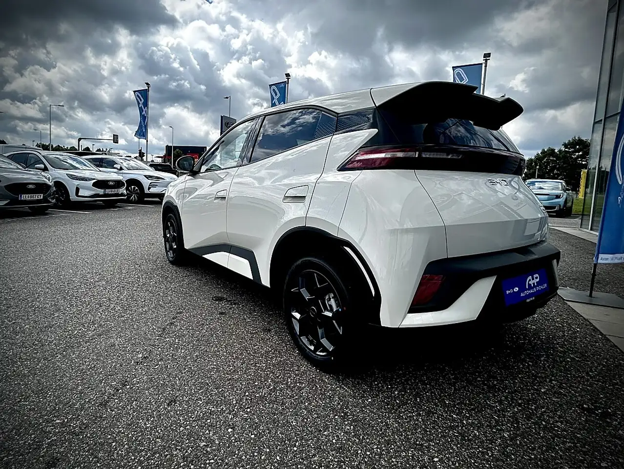 BYD DOLPHIN SURF