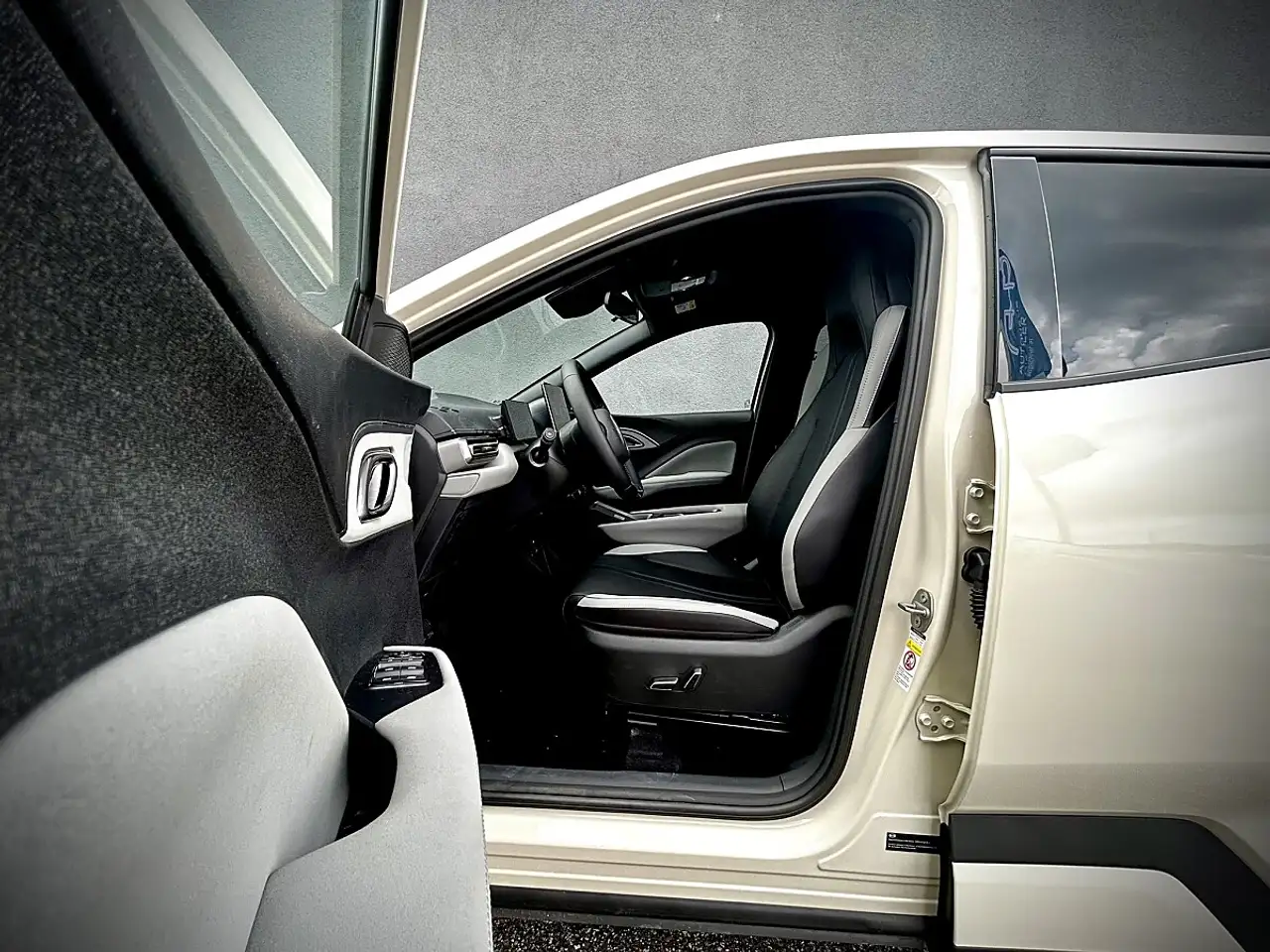 BYD DOLPHIN SURF