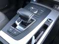 Audi Q5 Q5 40 2.0 tdi Business quattro 190cv s-tronic Grigio - thumbnail 13