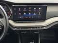 Skoda Octavia Ambition TDI Schwarz - thumbnail 11