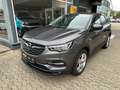 Opel Grandland X Business Edition 1,6 Plug-in-Hybrid*AHK*SHZ*Navi* Gris - thumbnail 1
