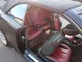 Mercedes-Benz CLK 230 CLK Cabrio 230 Kompressor Avantgarde - thumbnail 7